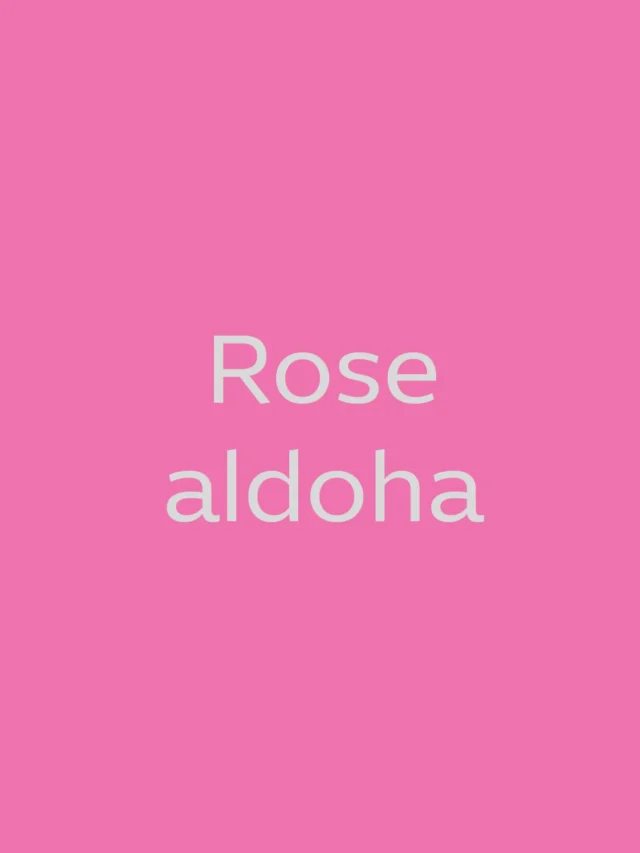 Rose_aldoha